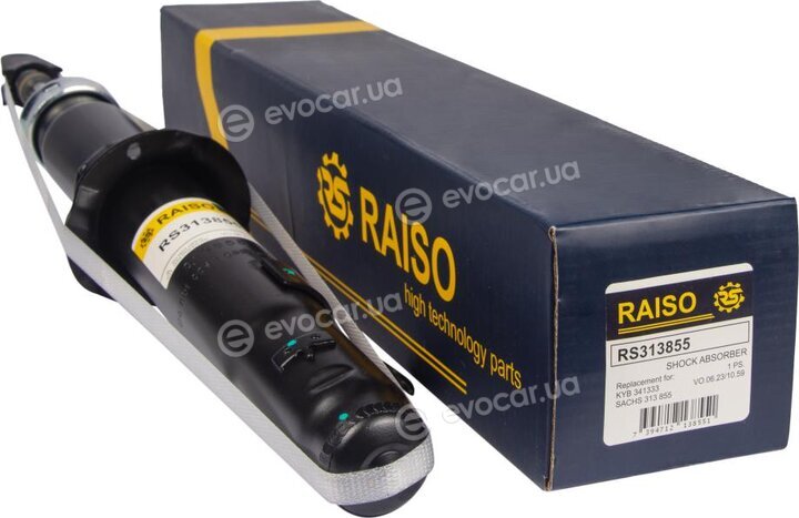 Raiso RS313855