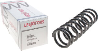 Lesjofors 4255465