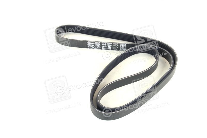 Dayco 6PK1600