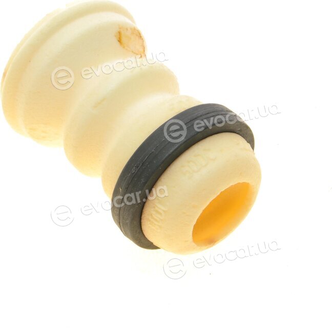 Borsehung B10024