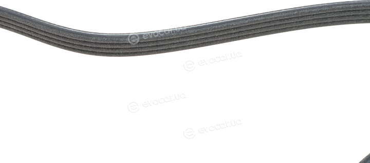 Dayco 4PK917EE