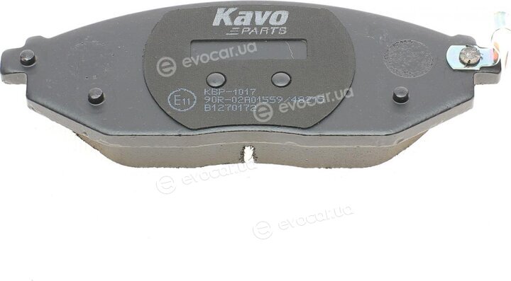 Kavo KBP-1017