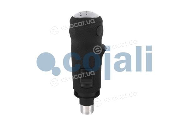 Cojali 2880187
