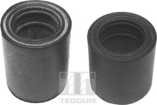 Tedgum 00745061