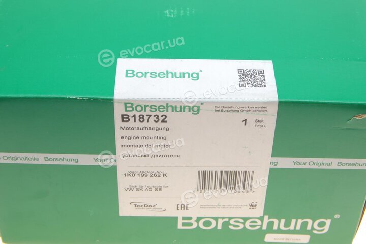 Borsehung B18732