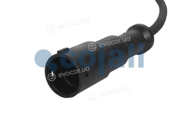 Cojali 2260054