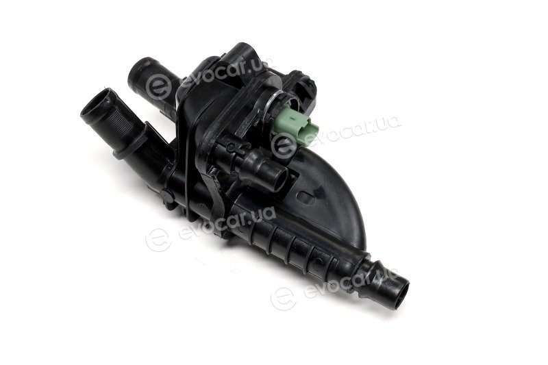 Sasic 3300016