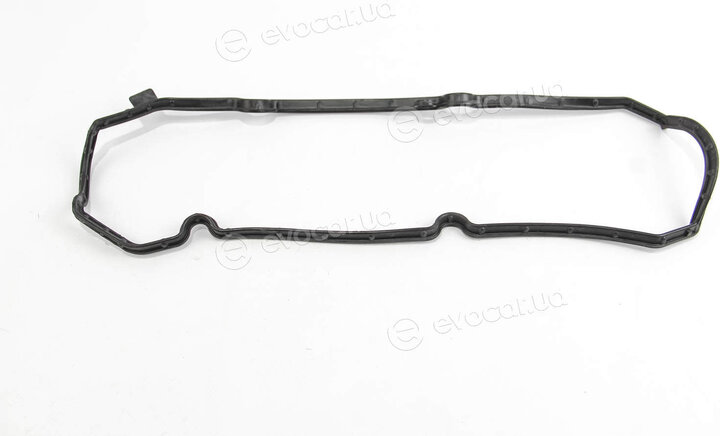 Elring 505.060