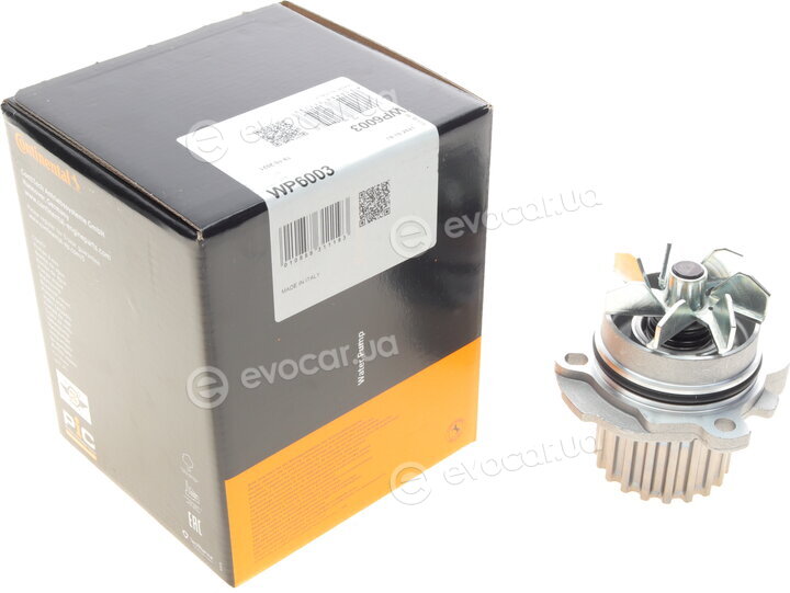 Continental WP6003