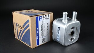 Kale 344365