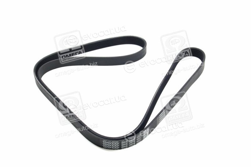 Dayco 6PK1675