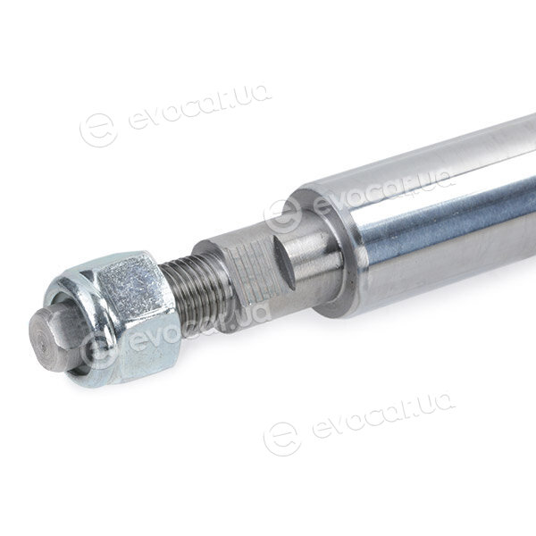 Ridex 854S0456