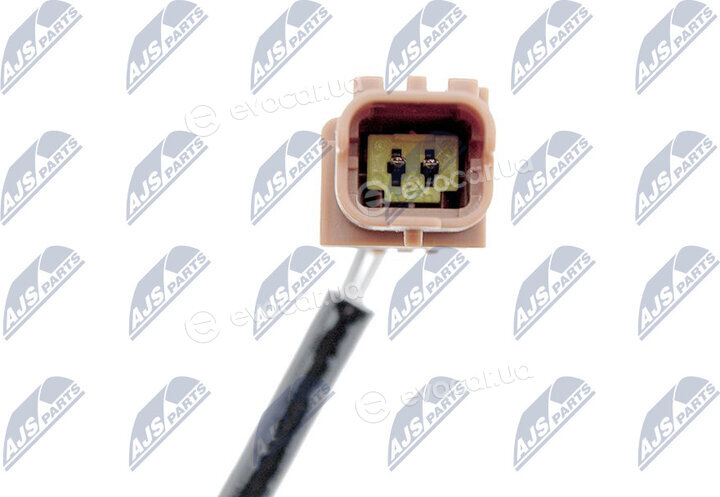 NTY EGT-CT-001
