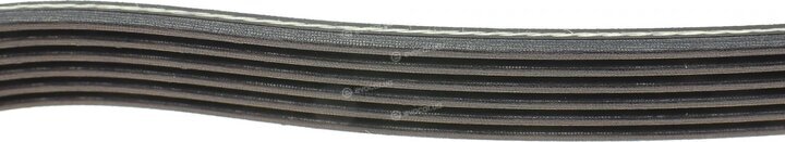 Dayco 6PK1705