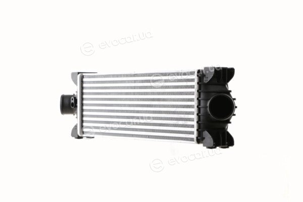 Mahle CI 391 000S