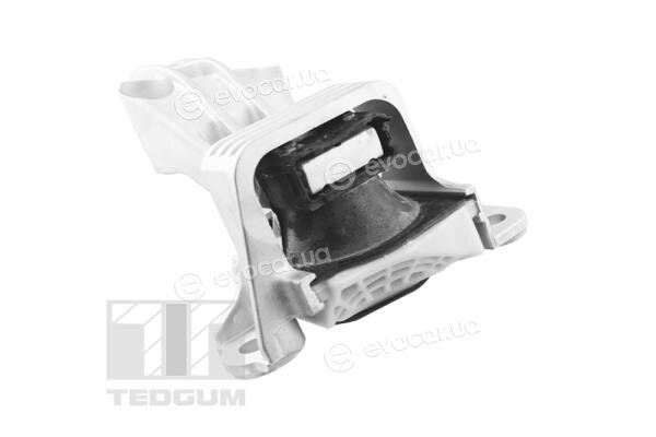 Tedgum TED81471