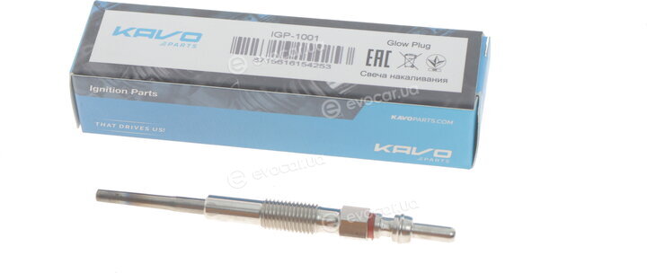 Kavo IGP-1001
