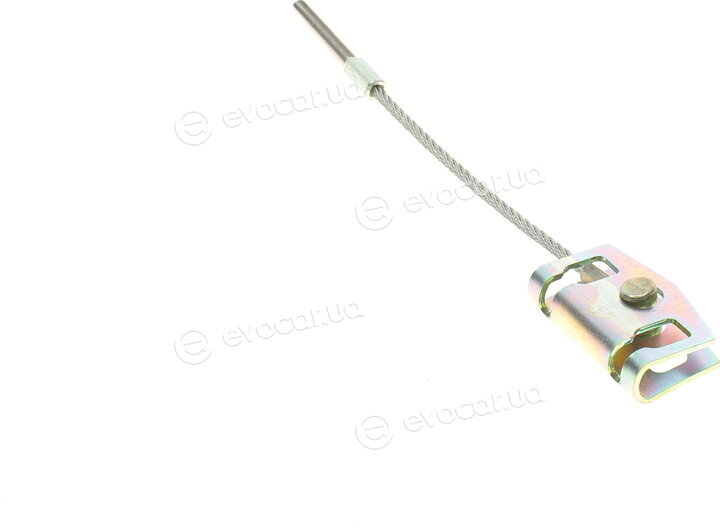 Linex 30.01.77