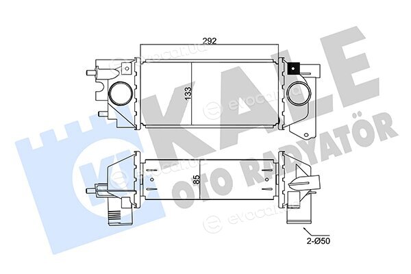 Kale 350960