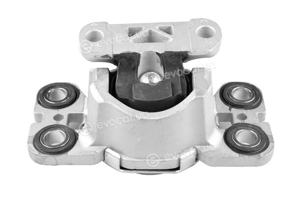 Tedgum TED47540