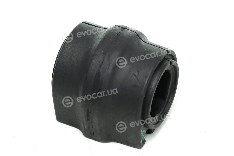 Sasic 2300053