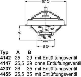 Wahler / BorgWarner 4455.80D