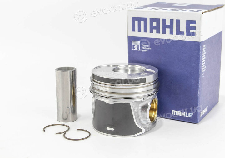Mahle 030 65 02