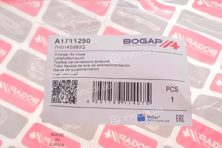 Bogap A1711290