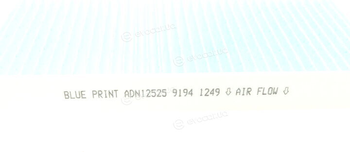 Blue Print ADN12525