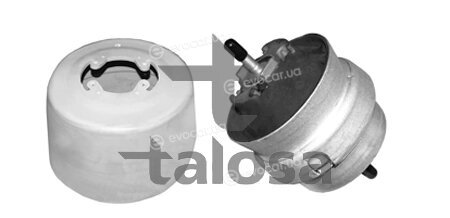 Talosa 61-06577