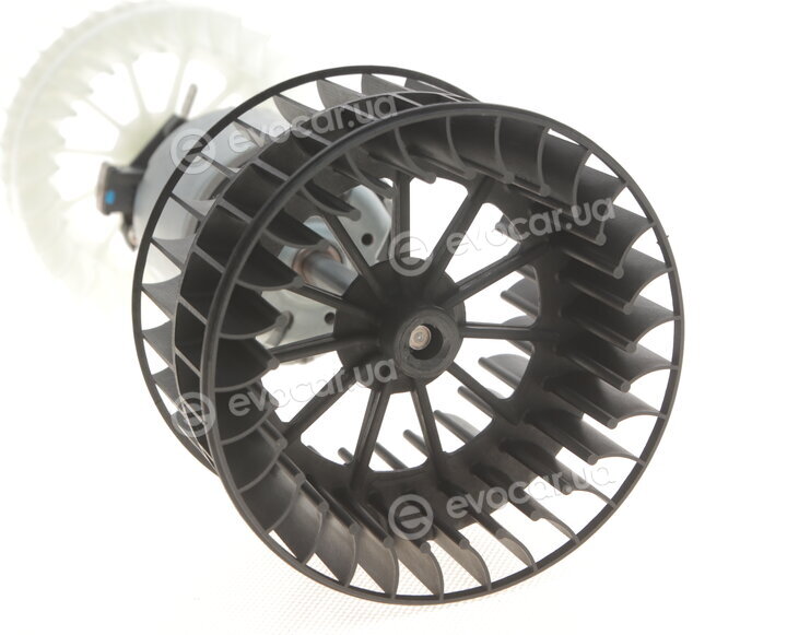 Solgy 404004