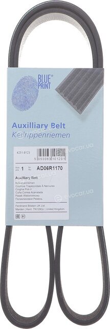 Blue Print AD06R1170