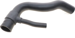 Solgy 112006