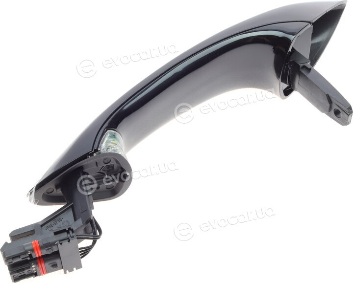 Solgy 305068