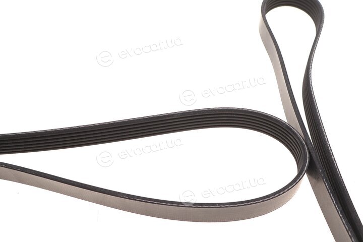 Dayco 6PK2425