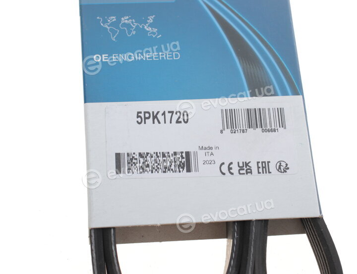 Dayco 5PK1720