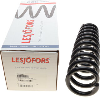 Lesjofors 4256860