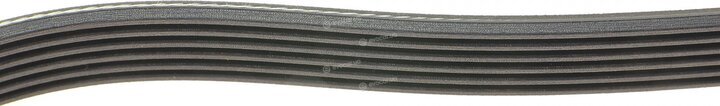 Dayco 6PK1130