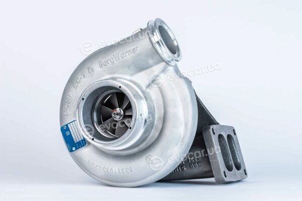 BorgWarner 53319887200
