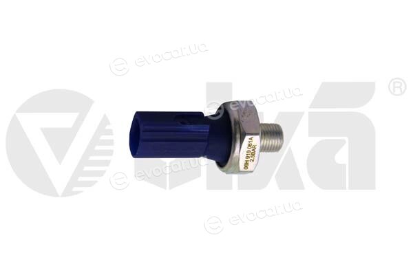 Vika 99191790401