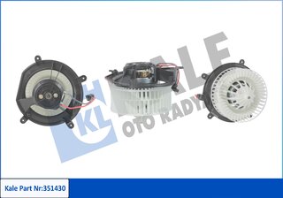 Kale 351430