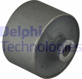 Delphi TD1101W
