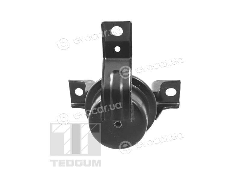 Tedgum TED10622