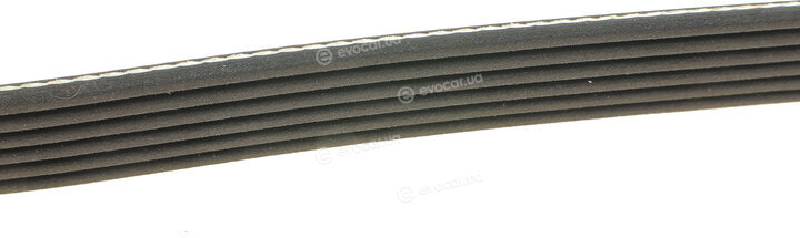 Dayco 6PK2160