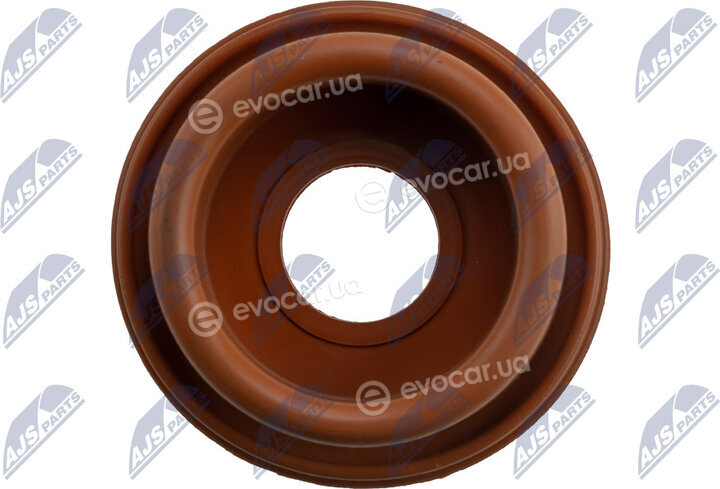 NTY EGR-VW-058