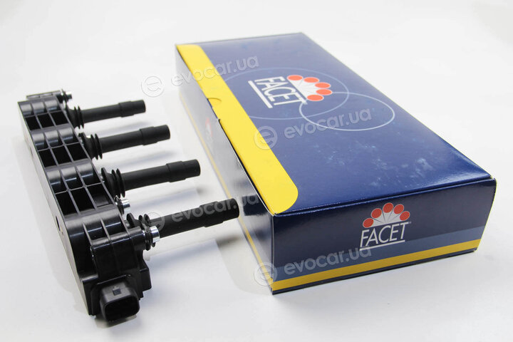 Facet 9.6299