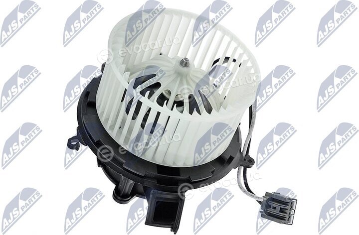 NTY EWN-PL-002