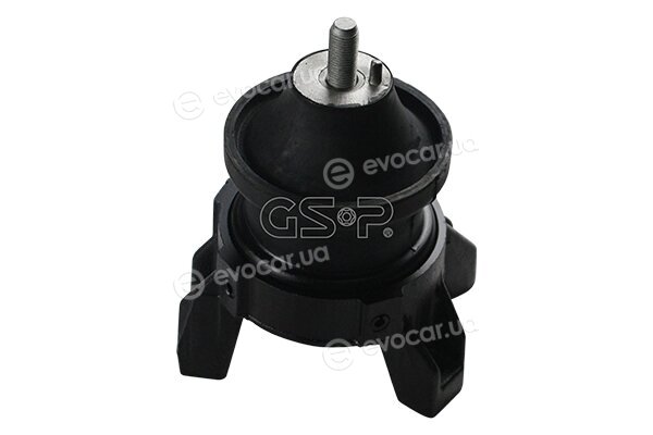 GSP 532655