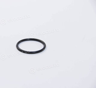 Ajusa 16029000