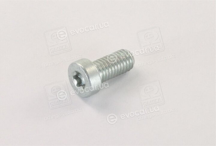 Bosch F 01M 100 684